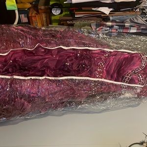 Quinceañera/Sweet 16 Dress